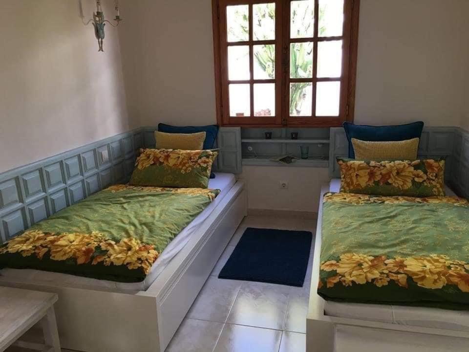 הוילה צ'ארקו דל פאלו Paz Del Mar מראה חיצוני תמונה